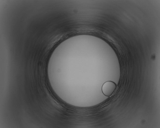X0000095680452200801081107