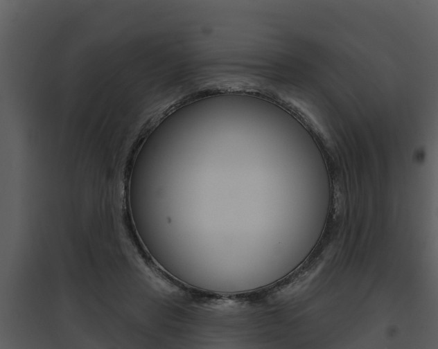X0000095680453200801081107