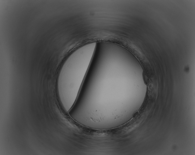 X0000095680454200801081107