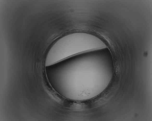 X0000095680455200801081107