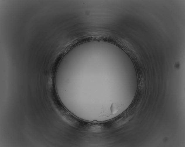 X0000095680456200801081107