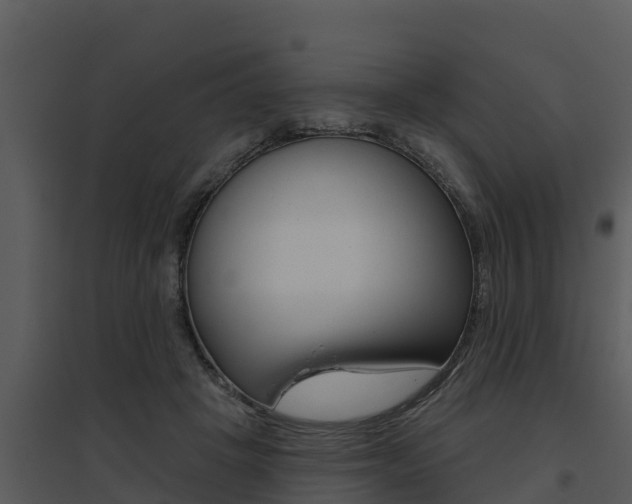 X0000095680457200801081107