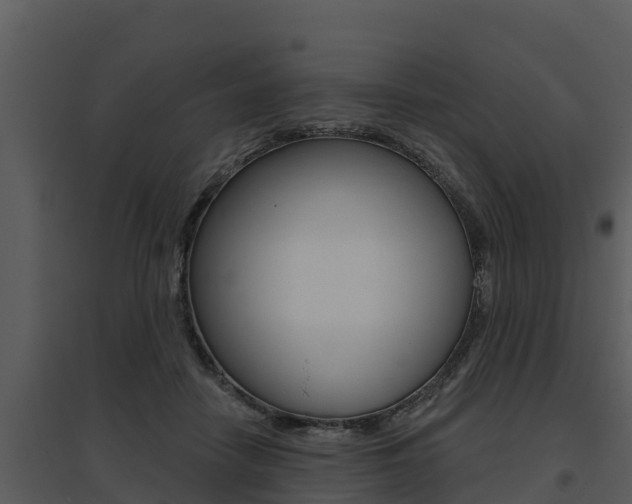 X0000095680458200801081107