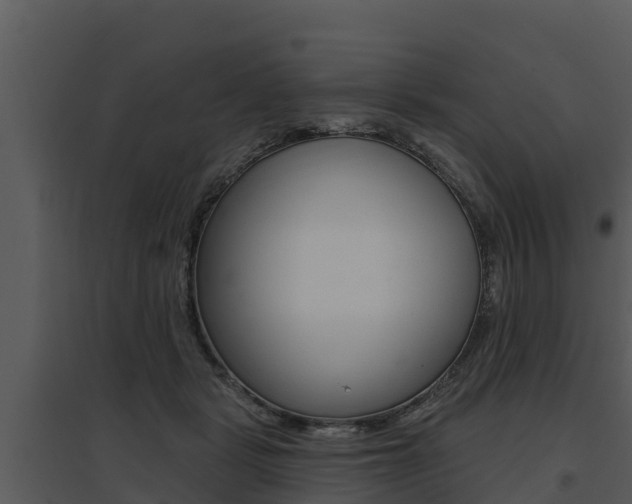 X0000095680461200801081107
