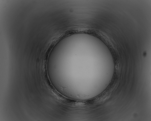 X0000095680462200801081107