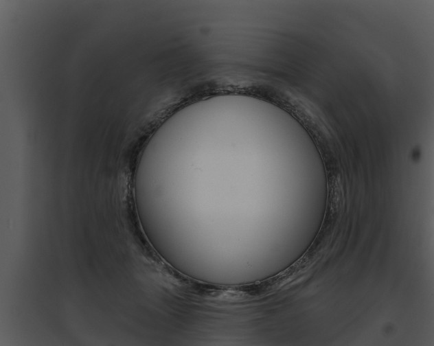 X0000095680463200801081107