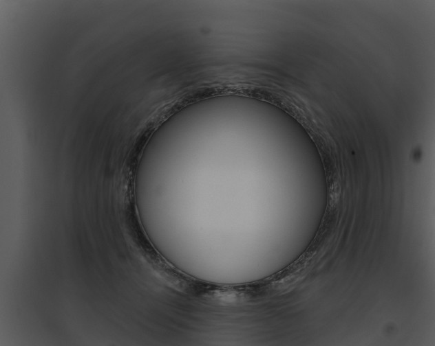 X0000095680464200801081107