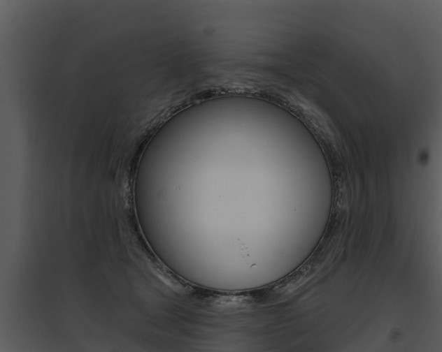 X0000095680465200801081107