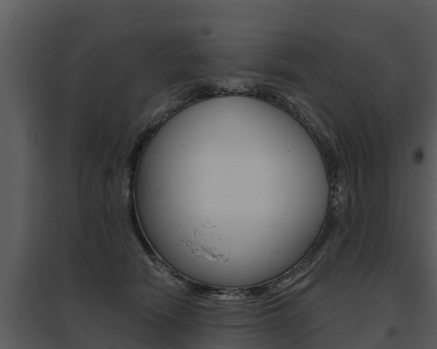 X0000095680466200801081107