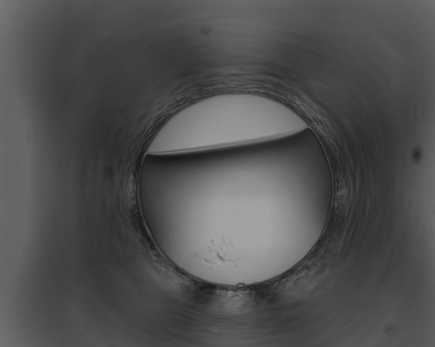 X0000095680469200801081107