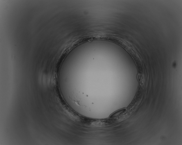 X0000095680470200801081107