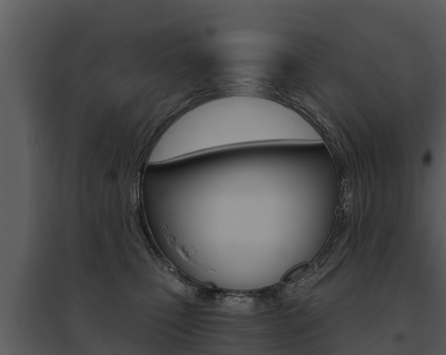 X0000095680471200801081107