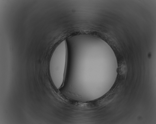 X0000095680472200801081107