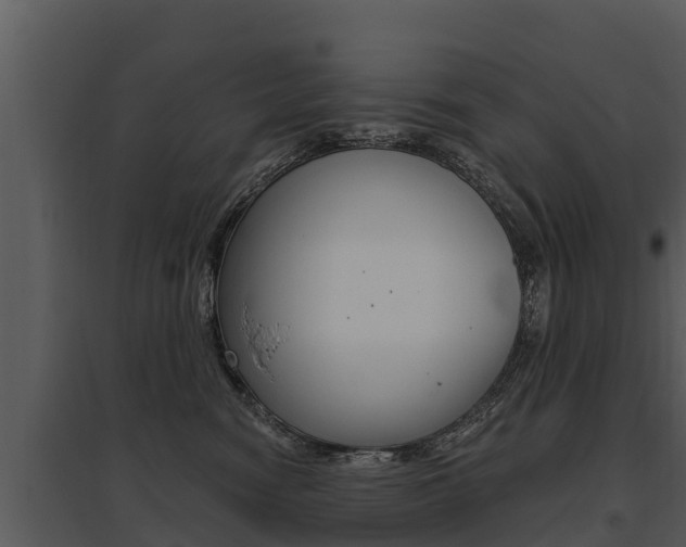 X0000095680474200801081107