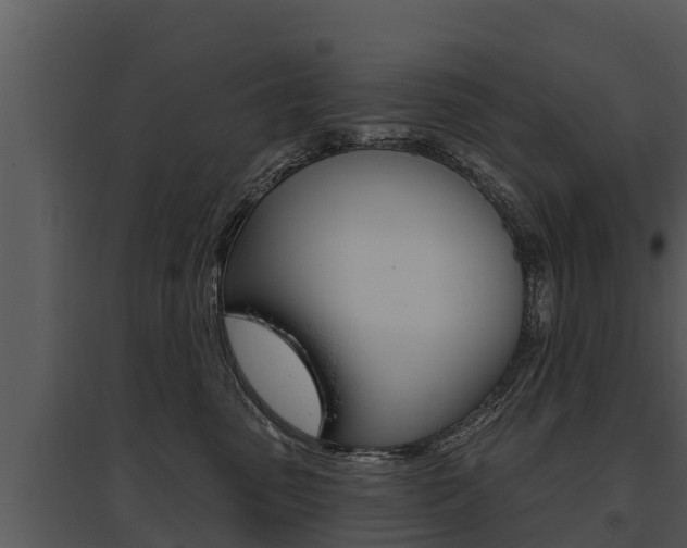 X0000095680475200801081107