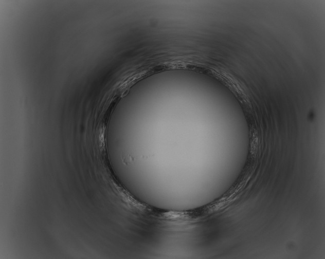 X0000095680477200801081107