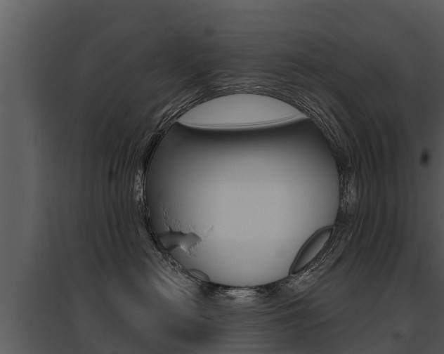X0000095680478200801081107