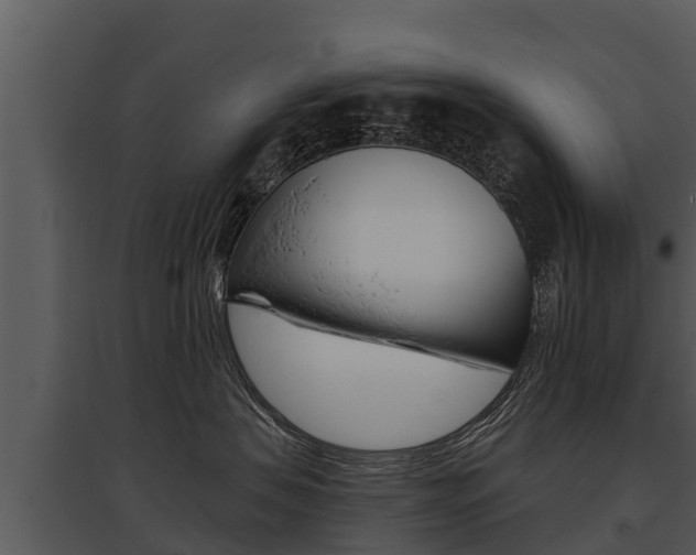 X0000095680479200801081107