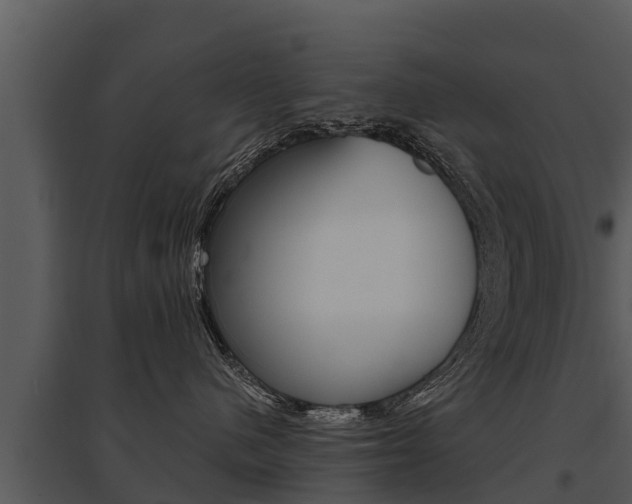 X0000095680480200801081107