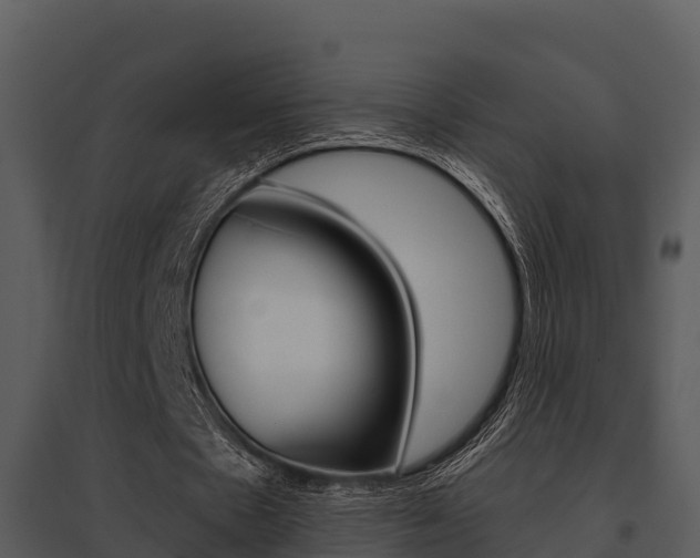 X0000095680481200801081106