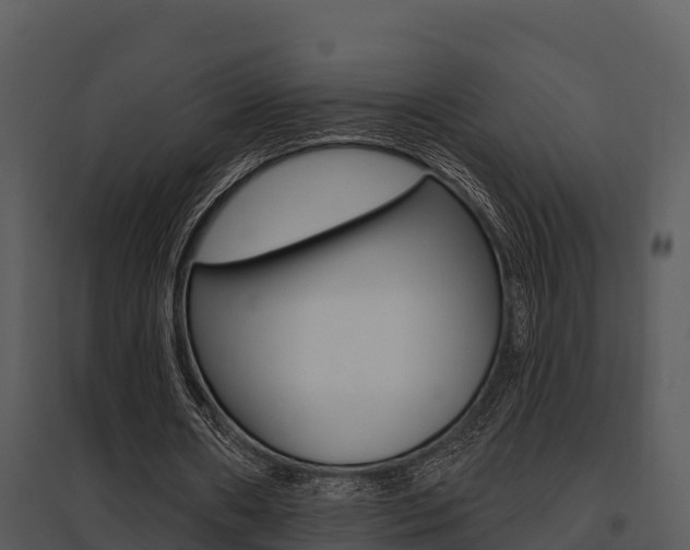 X0000095680482200801081106