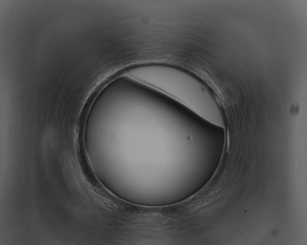 X0000095680483200801081106