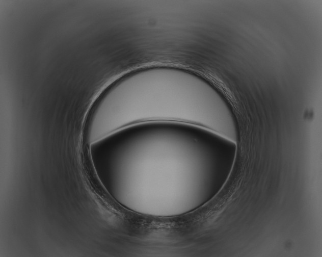 X0000095680484200801081106