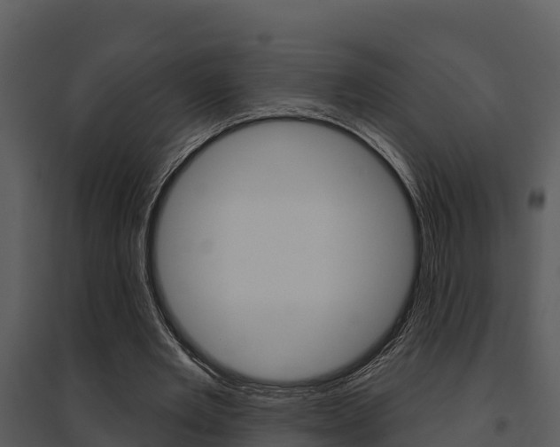 X0000095680485200801081106