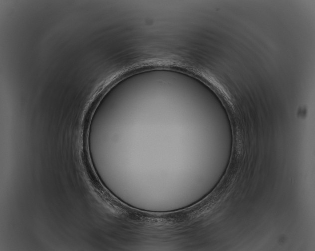 X0000095680486200801081106