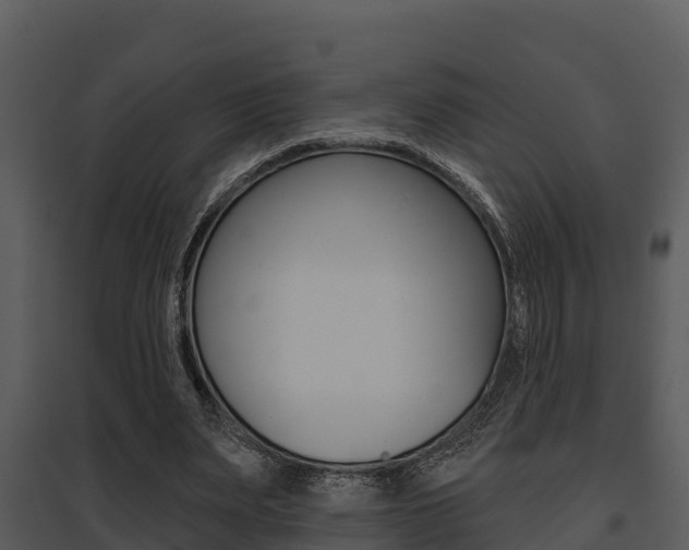 X0000095680487200801081106
