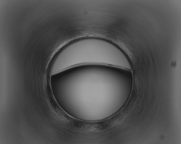 X0000095680488200801081106