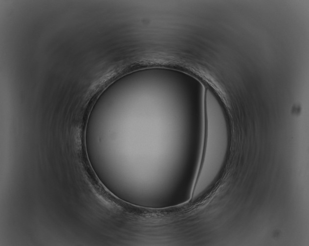 X0000095680489200801081106