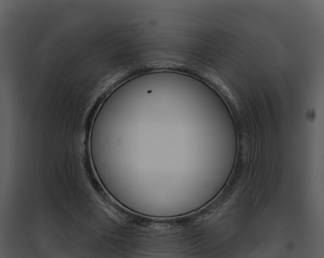 X0000095680490200801081106