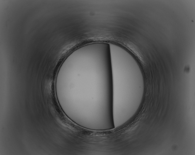 X0000095680491200801081106