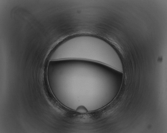 X0000095680492200801081106