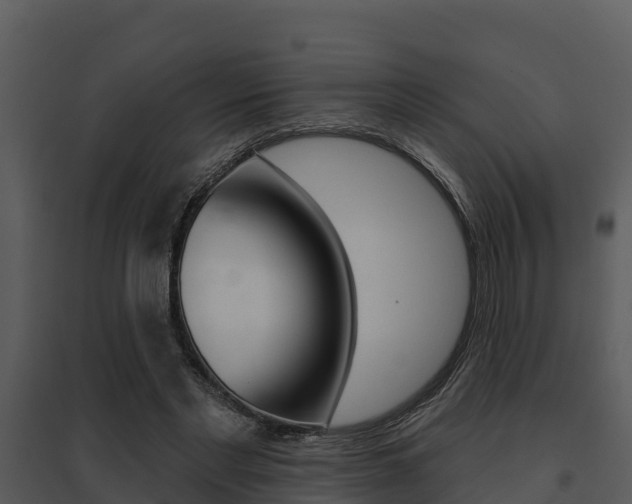 X0000095680493200801081106