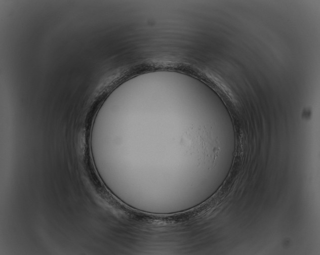 X0000095680494200801081106
