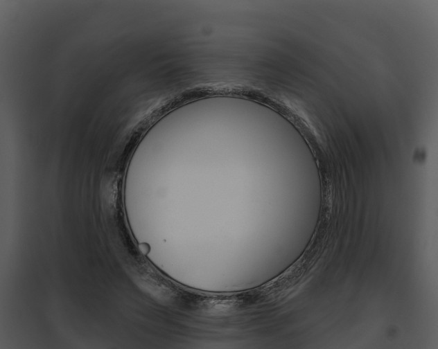 X0000095680495200801081106