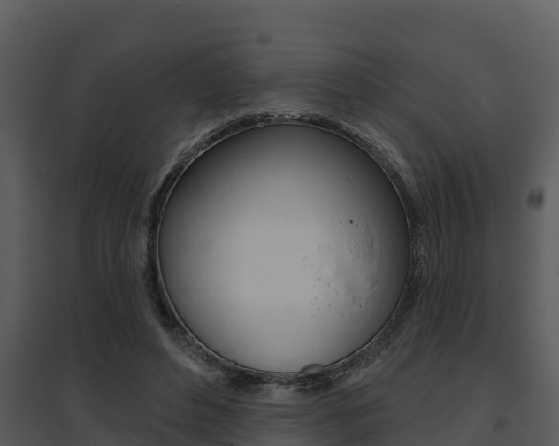 X0000095680496200801081106