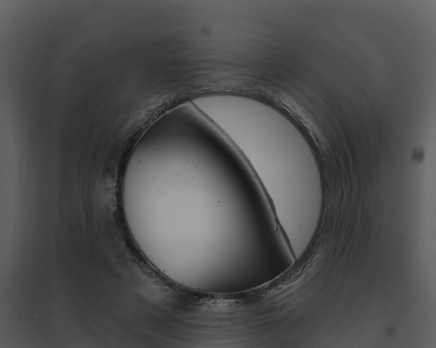X0000095680497200801081106