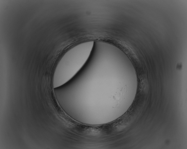 X0000095680498200801081106