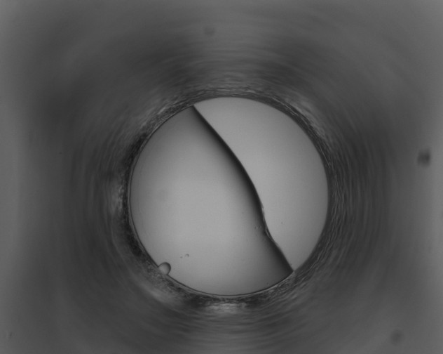 X0000095680499200801081106