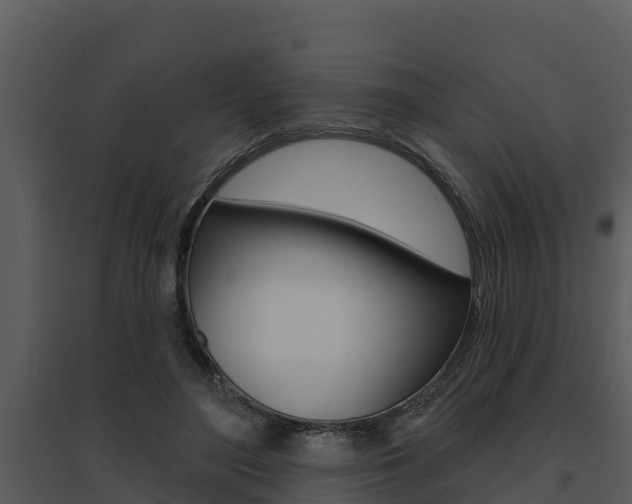 X0000095680500200801081106