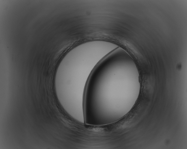 X0000095680501200801081106