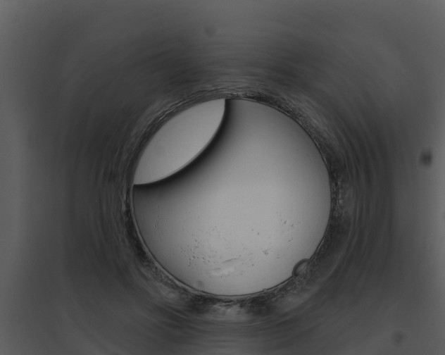 X0000095680502200801081106