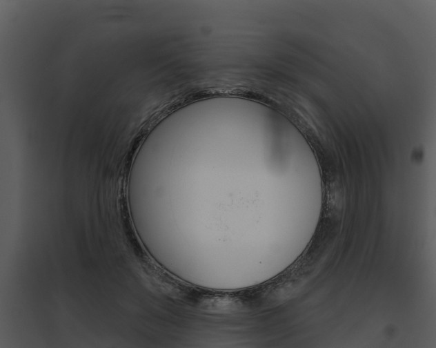 X0000095680503200801081106