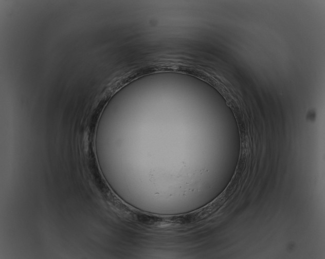 X0000095680504200801081106