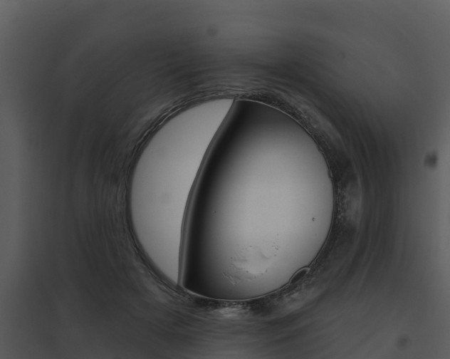 X0000095680505200801081106