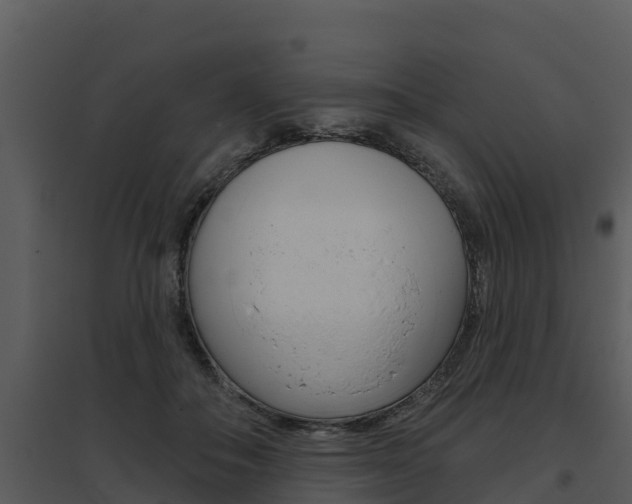 X0000095680506200801081106