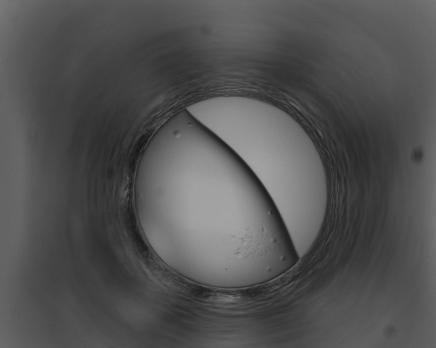 X0000095680507200801081106